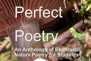 Curating A Poetry Anthology Took Time, Planning, and Persistence
