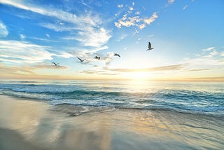 Sunny beach with birds across blue skies