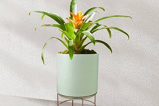 mainstays-dia-ceramic-planter-with-stand-green-gold-10-in-1