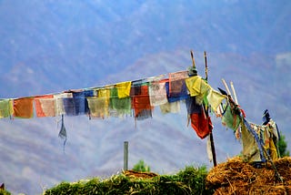 Living Lightly