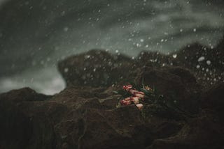 Not Even Death Do Us Part