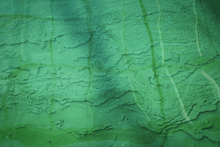 What is spirulina?