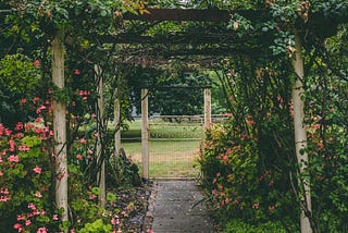 A Breathtaking Centrepiece for Your Garden