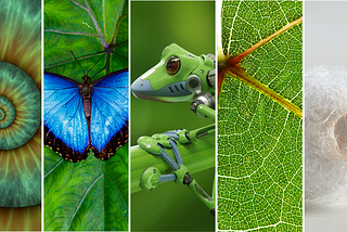 Case studies of AI experiments in biomimetics and its products