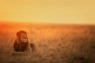 Why Focus Beats Hustle Every Time