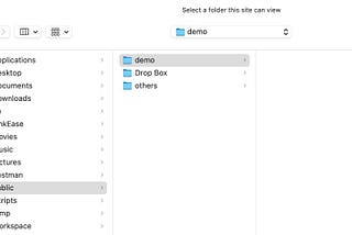 Manage files in the browser in JS