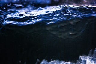 Lake Monsters: 4 Contemporary Reports from 1879–1894