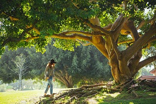 A woman with long hair, wearing a hat, long sleeved shirt, and jeans, with a satchel over her shoulder. Walking under the branches of a large, leafy green tree.