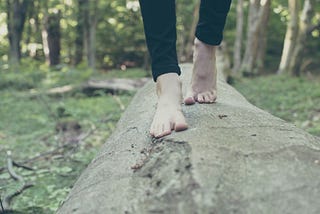 Why is Voting with Your Feet Important in the USA?