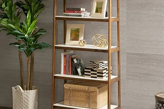 yesenia-ladder-bookcase-1