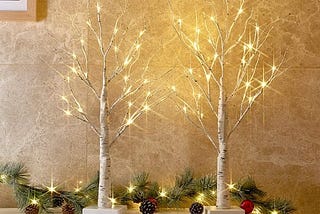peiduo-christmas-decorations-2ft-birch-tree-with-led-lights-warm-white-light-up-tree-lamp-fairy-ligh-1