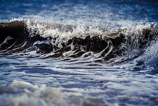 飄流記的啟發