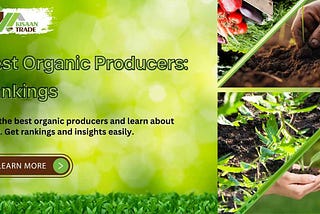 Discover the Leading Organic Producer Companies — Rankings and Insights