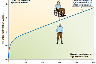 Вся правда об эпигенетике и старении