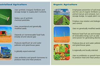 Weekly Blog for Class 11: The Evolution of Food Production and the Importance of Changing our…