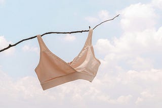 An Insecure Adolescent’s Relentless Search for the Perfect Bra