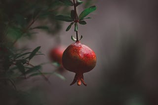 Lost Thoughts 2: Eat Your Pomegranates Gently
