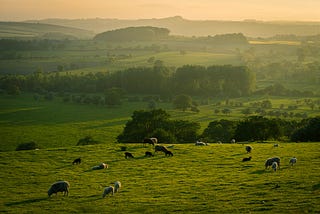 Lust Versus Love: Marriage and Agency in “Far from the Madding Crowd”