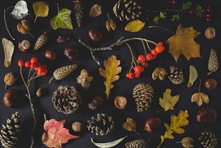 Photo Prompts! 🍂🍁