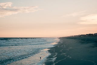 As dawn breaks on Tasmania’s shores, mad swimmers gather to embrace the winter solstice by swimming nude.