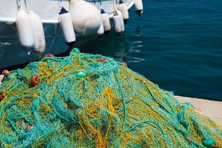 Fishing Nets Market Key Players 2019–2024|Miller Net Company, Inc, Memphis Net & Twine, MAGNUM…