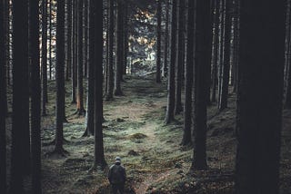 A man, alone, in a dark and mysterious forest
