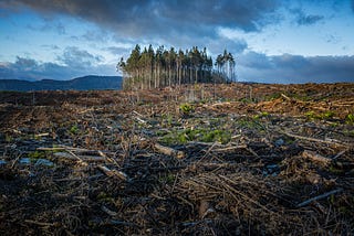 Climate Change and Pollution