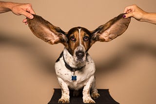 Your Best Asset to Close More Deals? Your Ears