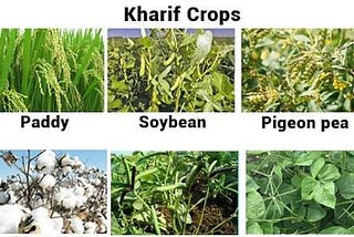 Difference Between Kharif And Rabi Crops — TricksWallah