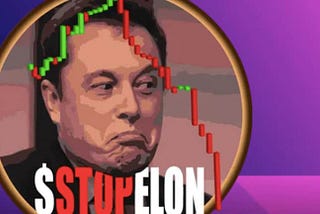 What is StopElon Coin ? A CryptoCurrency To Destroy Elon Musk
