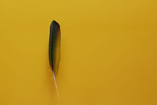 How to Start Writing a Book: Step One, Hate Yourself