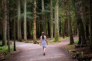 A young girl at a crossroads in a forest.