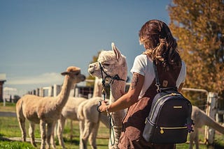 A vision of “Farm to Closet”