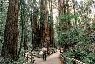 The Various Data Science Career Paths