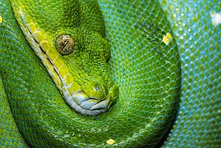 Python 3.9’s features that are good to know about