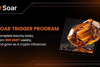 Soar Ambassador Recruitment: The Soar Trigger Program