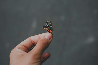 Get Good at the Art of Losing