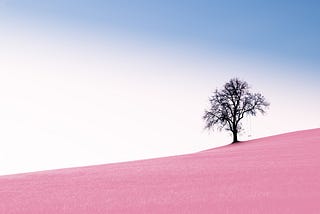 A leafless tree in a sea of pink sand
