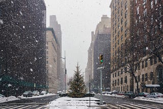 Omicron Blizzard Hits New York