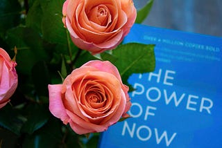 THE POWER OF NOW (BOOK REVIEW)