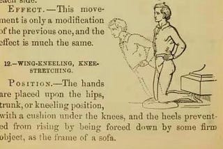 History of the Nordic Hamstring Curl