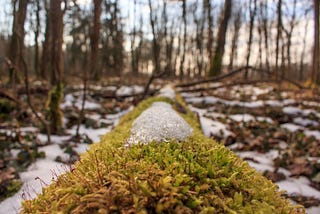 The Heavy Freedom of Leaving Things Behind