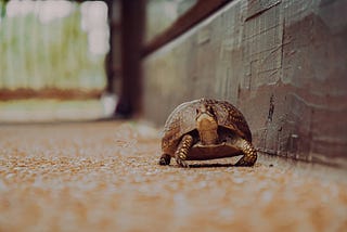 Slow down!