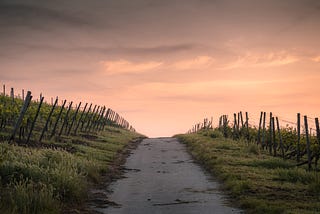 path on a rural road