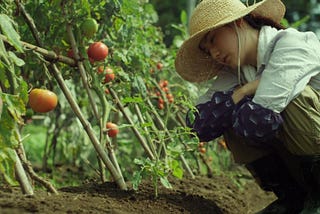 스스로를 돌보는 힘_ 영화 <리틀 포레스트 : 사계절>