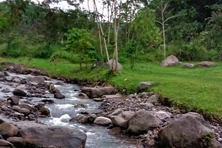 How to Filter a Collection Using Streams in Java?