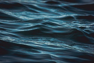 Maybe I’m Not Toxic, Maybe I’m Just A Bitcoiner At Heart