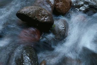 Meditation in Action