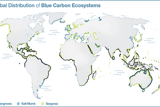 The Vulnerabilities & Value of Mangroves: A Deep-Rooted Issue in Shallow Waters