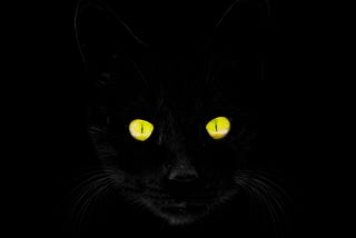 Silent and Stealthy We Hide in the Night